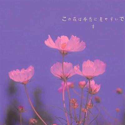 pg电子娱乐官网游戏下载手机版