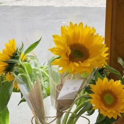 星空下载站安装截图